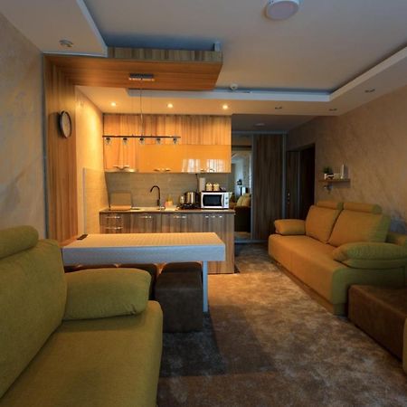 Apartments Andrejic Kopaonik Zewnętrze zdjęcie